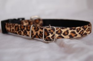 画像10: ヒョウ柄