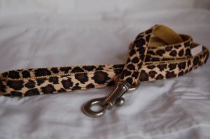 画像5: ヒョウ柄