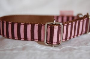 画像4: ビビッドストライプ