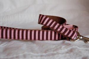 画像8: ビビッドストライプ