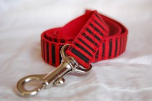 画像6: ビビッドストライプ