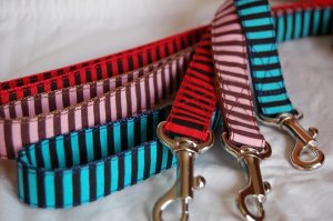 画像5: ビビッドストライプ